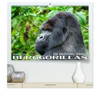 Berggorillas: die bedrohten Riesen (hochwertiger Premium Wandkalender 2026 DIN A2 quer), Kunstdruck in Hochglanz: In den Virunga-Vulkanen, im ... aus dem Alltag der riesigen Menschenaffen.