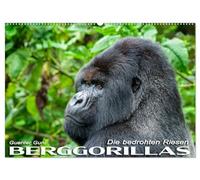 Berggorillas: die bedrohten Riesen (Wandkalender 2026 DIN A2 quer), CALVENDO Monatskalender: In den Virunga-Vulkanen, im Grenzgebiet zwischen Ruanda, ... aus dem Alltag der riesigen Menschenaffen.