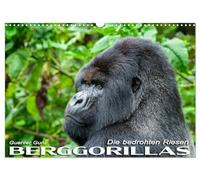 Berggorillas: die bedrohten Riesen (Wandkalender 2026 DIN A3 quer), CALVENDO Monatskalender: In den Virunga-Vulkanen, im Grenzgebiet zwischen Ruanda, ... aus dem Alltag der riesigen Menschenaffen.