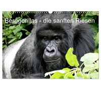 Berggorillas - die sanften Riesen (Wandkalender 2026 DIN A3 quer), CALVENDO Monatskalender: Berggorillas in ihrem Lebensraum
