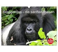 Berggorillas - die sanften Riesen (Wandkalender 2026 DIN A3 quer), CALVENDO Monatskalender: Berggorillas in ihrem natürlichen Lebensraum