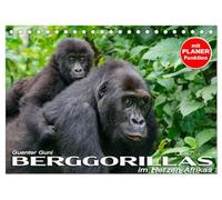 Berggorillas im Herzen Afrikas (Tischkalender 2026 DIN A5 quer), CALVENDO Monatskalender: In den Virunga-Vulkanen, im Grenzgebiet zwischen Ruanda, ... aus dem Alltag der riesigen Menschenaffen.