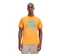 Berghaus Men's High Level Route tee, Copper Beech, L