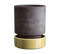 Bergs Potter Maceta Hoff Ø18 cm. Raw Grey-Pale Yellow