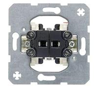 Berker Interruptor de serie 3035 doble 10AX 250V~