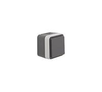 Berker 47633505 - Enchufe con Tapa (Tapa abatible, Superficie W.1), Color Gris Claro