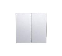 Berker B.1/B.3/B.7 tecla doble de vidrio B.KWADRAT 16231404