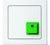 Berker Botón de estacionamiento pows/sa 52016099 con marco KLINIKINSTALLATION;Q.1;Q.3 elemento para discapacitados para programas de instalación 4011334393627