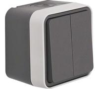 BERKER 50753515 - Botón de la serie, 2 NO AP W.1 gris