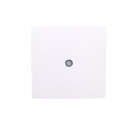 Berker S.1/B.3/B.7 elemento central de vidrio para 10198989