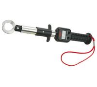 Berkley BGLGDS Big Game Lip Grip Con Escala 14" Digital