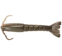 Berkley Gulp! Gambas de Agua Salada Cebo Blando, diseño con Aroma Realista para la Pesca en Agua Salada de gallineta, Trucha y platija, Duradero y versátil para múltiples técnicas, 4pk, 4", Molting