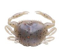 Berkley Gulp! Saltwater Peeler Crab; Señuelo de Pesca Depredadores de Agua Salada; Imitación Realista de Cangrejo con dispersión de Aroma para gallineta nórdica, platija, 5cm, Molting