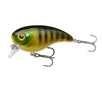 Berkley Pulse Biggie Crankbait Señuelo | Flotante de Profundidad Reducida para Lucio, Perca y lubina | Señuelo Duro de Alta acción para la Pesca de Depredadores en Agua Dulce | 8 cm, Dorado