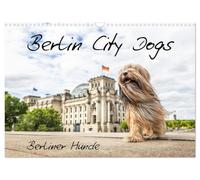 Berlin City Dogs - Berliner Hunde (Wandkalender 2026 DIN A3 quer), CALVENDO Monatskalender: Berliner Hunde in urbaner Umgebung.