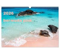 bermuda pink (Wall Calendar 2026 DIN A3 landscape), CALVENDO 12 Month Wall Calendar: A deep insight into the midget world of the bermuda pink coral sand by excellent macroscopy photos.
