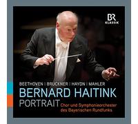 Ludwig van Beethoven Bernard Haitink: Portrait - Volume I (CD) Box Set