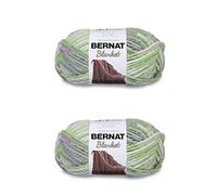 Bernat Blanket - Ovillo de hilo de poliéster, 300 g, n.° 6, supervoluminoso, 201 m, tejido de punto/ganchillo, paquete de 2 unidades, morado y verde (Lilac Leaf)