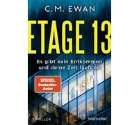 Bernd Stratthau Etage 13 - Es gibt kein Entkommen, und deine Zeit (Tapa blanda)
