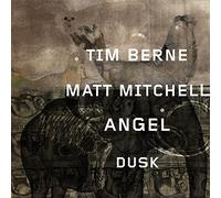 Berne,Tim - Angel Dusk