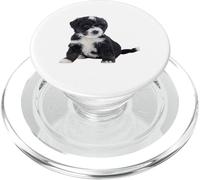 Bernedoodle Dog Mini Bernedoodle, canino súper Lindo PopSockets PopGrip para MagSafe