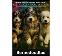 Bernedoodles “From Mountains to Midlands” How the Bernedoodle Found Its Way to British Hearts
