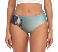 Bernese Mountain Dog 1, calzoncillos de apoyo para mujer, ropa interior cómoda y suave para mujer, multicolor, XL