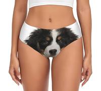 Bernese Mountain Dog 2, calzoncillos de apoyo para mujer, ropa interior cómoda y suave para mujer, multicolor, 4XL