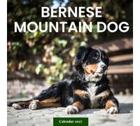 Bernese Mountain Dog Calendar 2027: Dog Portraits and Outdoor Scenes