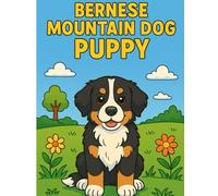 Bernese Mountain Dog Puppy