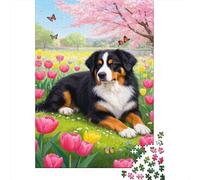 Bernese Mountain Dog Puzzle 1000 Piezas Adultos Creativo Juego Familiar Regalo 1000pcs (75x50cm)
