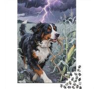 Bernese Mountain Dog Puzzle 1000 Piezas Adultos Juego De Pasatiempo Creativo Colorido Regalos A Partir De 14 Años 1000pcs (75x50cm)