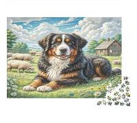 Bernese Mountain Dog Rompecabezas DIY de Papel Premium Perro Montañés Bernés en Campo de Hierba con ovejas, Alivio Decorativo del estrés 70x50cm/1000 Piezas