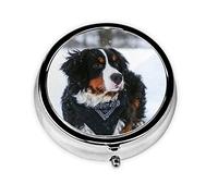 Bernese Mountain Dog Snowfall, pastillero, pastillero cuadrado para bolsillo o monedero, pastillero pequeño, organizador de pastillas de viaje