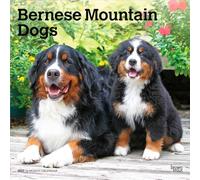 Bernese Mountain Dogs - Berner Sennenhund 2027 - 16-Monatskalender: Original BrownTrout-Kalender [Mehrsprachig] [Kalender] (Bernese Mountain Dogs | ... | Plastic-Free | BrownTrout | Animals Breeds)