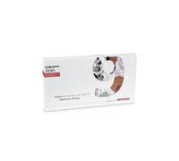 Bernina Software de Bordado Designer Plus V9 (WiFi) Versión completa