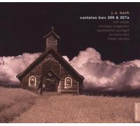 Bernius, Frieder - Mfy/Cantatas [Import]