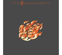 Bernstein, Steven & the Hot 9 - Manifesto Of Henryisms (community Music, Vol. 3) [Vinilo]