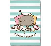 BERONAGE Pusheen Purrfect Weekend - Manta de franela supersuave, 160 cm x 200 cm, manta de forro polar de coral, diseño de gato dulce a juego con ropa de cama