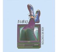 Berries - How we function