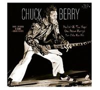 Berry, Chuck - Rockin'at the Hops/ One..