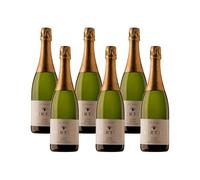 Bertha Brut Nature Reserva - Vino Espumoso - 6 Botellas