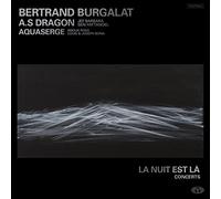 Bertrand Burgalat - La Nuit est Là [Vinilo]