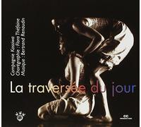 Bertrand Renaudin - La Traversee du Jour