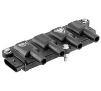 Bobina de encendido sin conector de bujía de encendido ZS079 BorgWarner (BERU)