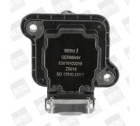 Bobina de encendido Versión de conexión SAE ZS016 BorgWarner (BERU) para AUDI VW