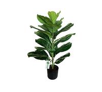 BESAMENATURE - Árbol de higuera Artificial (76,2 cm), diseño de Hoja de ficus para decoración del hogar y la Oficina