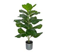 BESAMENATURE Higuera Artificial de Hoja de violín/Ficus Lyrata sintética para decoración del hogar y Oficina, 30.5 Pulgadas de Alto, se envía en Maceta Gris Plateado