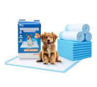 BESCH Empapadores para Perros de Alta Absorción con Base Adhesiva - Almohadillas Higiénicas para Cachorros y Adultos, Control de Olores, Antideslizantes, Entrenamiento Fácil (60x90cm, 60 Unidades)