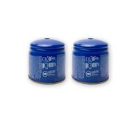 BESCH Pack 2 Bombonas de Gas 190g con Sistema de Bloqueo para Hornillo de Camping, Mini Quemador